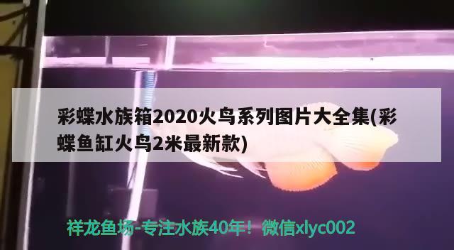 彩蝶水族箱2020火鸟系列图片大全集(彩蝶鱼缸火鸟2米最新款)