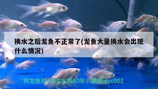 换水之后龙鱼不正常了(龙鱼大量换水会出现什么情况)