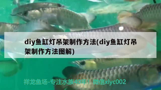 diy鱼缸灯吊架制作方法(diy鱼缸灯吊架制作方法图解) 充氧泵