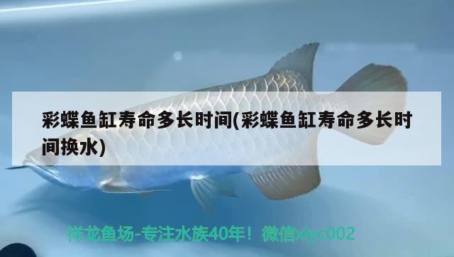 彩蝶鱼缸寿命多长时间(彩蝶鱼缸寿命多长时间换水) 定时器/自控系统