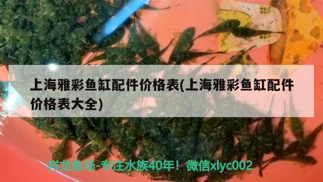 上海雅彩鱼缸配件价格表(上海雅彩鱼缸配件价格表大全) 玫瑰银版鱼