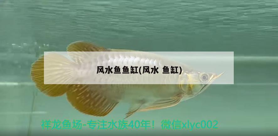 风水鱼鱼缸(风水鱼缸) 鱼缸风水