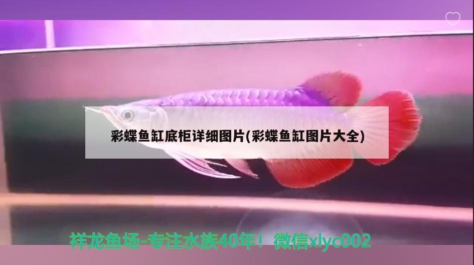 彩蝶鱼缸底柜详细图片(彩蝶鱼缸图片大全)