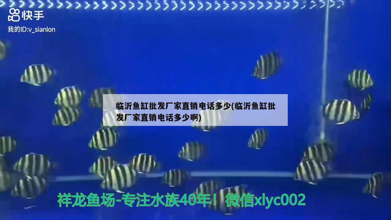 临沂鱼缸批发厂家直销电话多少(临沂鱼缸批发厂家直销电话多少啊) 祥龙鱼场品牌产品