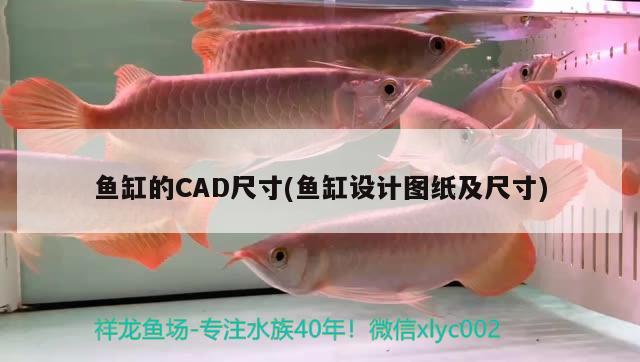 鱼缸的CAD尺寸(鱼缸设计图纸及尺寸)