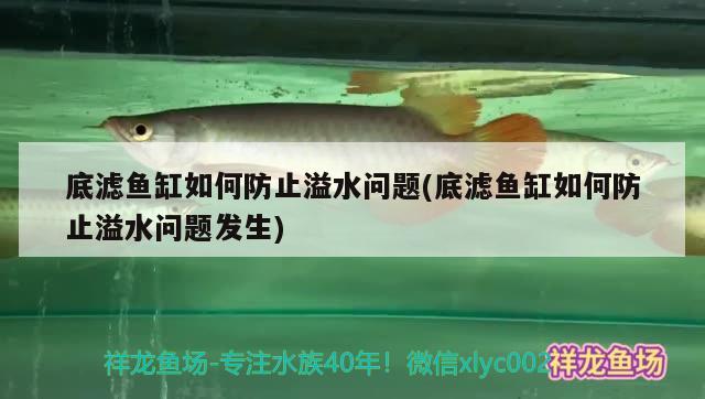 底滤鱼缸如何防止溢水问题(底滤鱼缸如何防止溢水问题发生) 元宝鲫