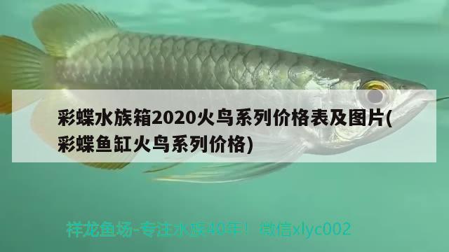 彩蝶水族箱2020火鸟系列价格表及图片(彩蝶鱼缸火鸟系列价格)