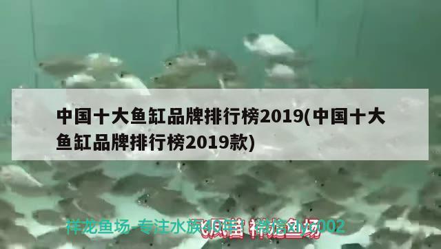 中国十大鱼缸品牌排行榜2019(中国十大鱼缸品牌排行榜2019款) 广州水族批发市场