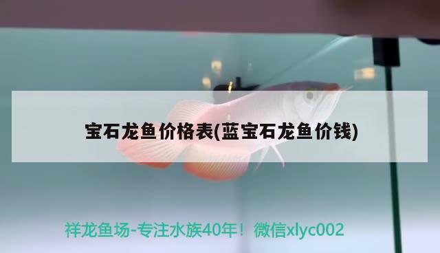 罗汉鱼苗吃什么，怎么养长得快，罗汉鱼苗吃什么起头快和罗汉鱼苗吃什么起头快，罗汉鱼起头快 罗汉鱼 第2张