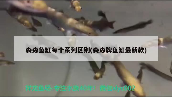 森森鱼缸每个系列区别(森森牌鱼缸最新款) 金龙鱼粮