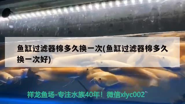 鱼房鱼缸设计论文题目怎么写(鱼缸最佳过滤设计图) 水族展会