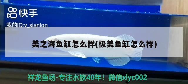 美之海鱼缸怎么样(极美鱼缸怎么样) 广州水族器材滤材批发市场