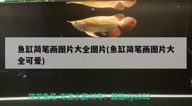 清理鱼粪最好的鱼，鱼缸壁用什么鱼清理比较好