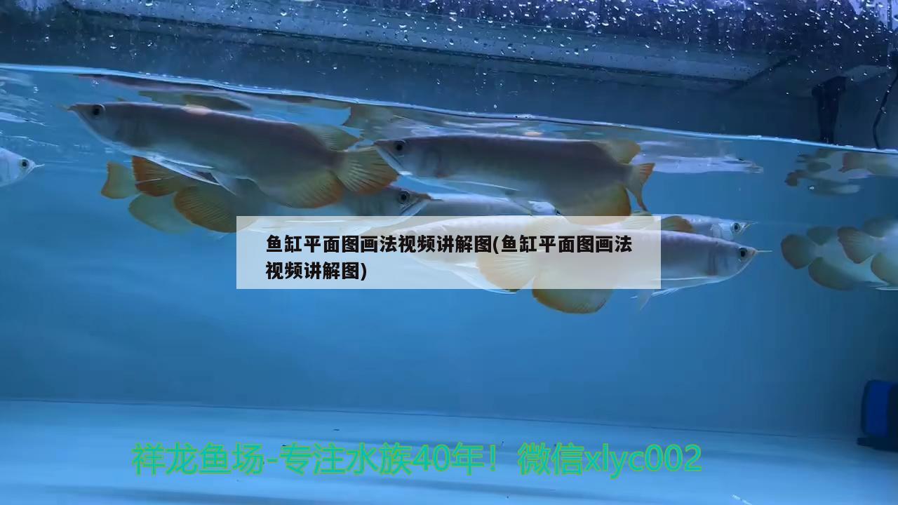 鱼缸刚换完水就浑浊了，可能的原因解决方法，鱼缸刚换完水就浑浊了可能的原因及解决方法及解决方法