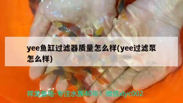 yee鱼缸过滤器质量怎么样(yee过滤泵怎么样) yee