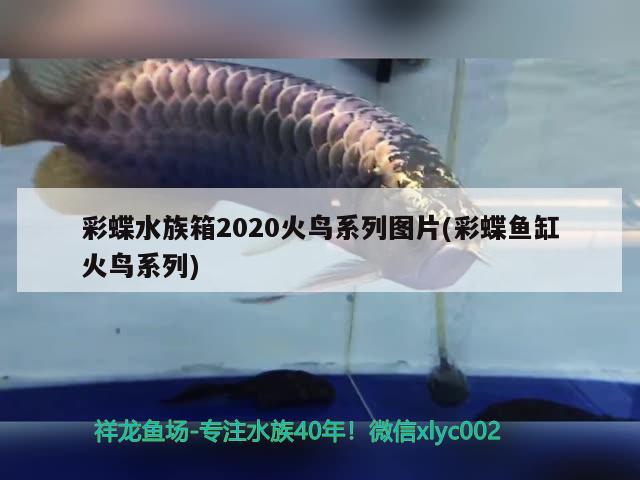 彩蝶水族箱2020火鸟系列图片(彩蝶鱼缸火鸟系列) 鱼缸/水族箱