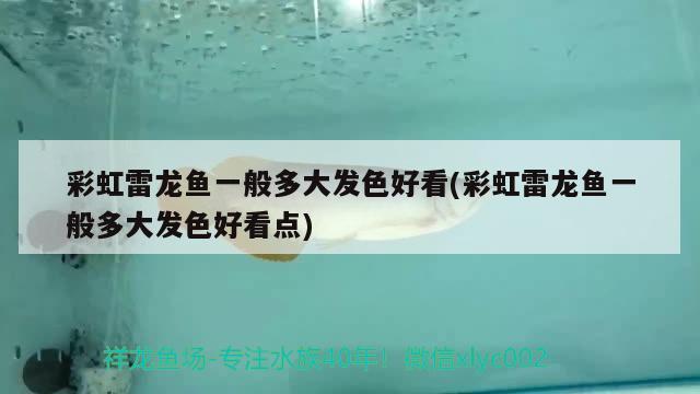 自制水族鱼缸的（自制鱼缸怎么做的） 其他品牌鱼缸