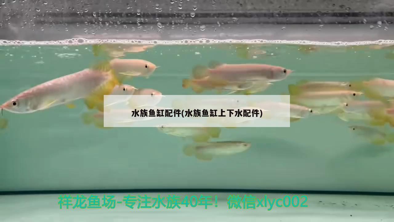 鱼缸底部出水口微漏(鱼缸底部出水口微漏水怎么办)