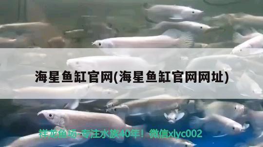 海星鱼缸官网(海星鱼缸官网网址) 观赏鱼企业目录