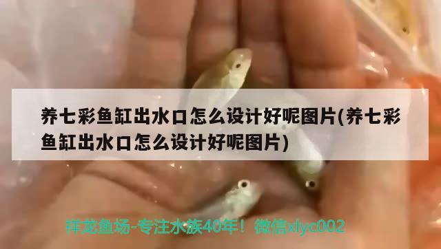 养七彩鱼缸出水口怎么设计好呢图片(养七彩鱼缸出水口怎么设计好呢图片)