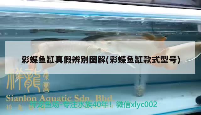 新乡鱼缸定制电话多少啊：新乡哪里有卖鱼缸 广州水族批发市场 第3张