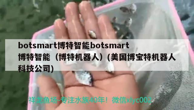 botsmart博特智能botsmart博特智能（博特机器人）(美国博宝特机器人科技公司)