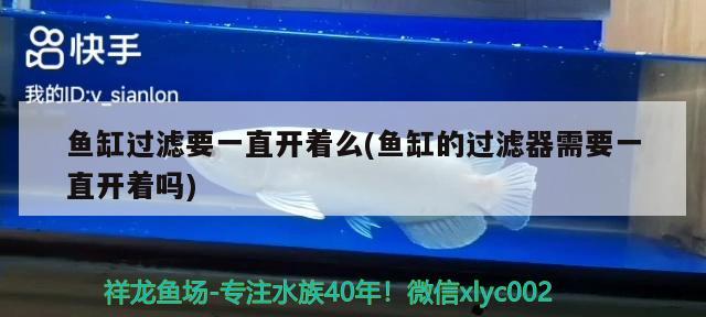 鱼缸可以用桶装水吗（开缸用纯净水好还是自来水好啊） 全国水族馆企业名录 第2张