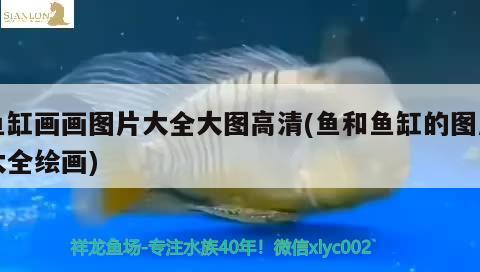 全国鱼缸十大品牌排名榜前十名：中国鱼缸品牌