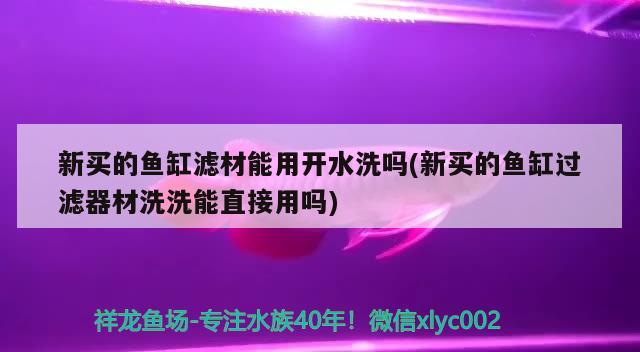 新买的鱼缸滤材能用开水洗吗(新买的鱼缸过滤器材洗洗能直接用吗)