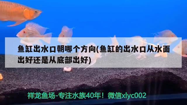 鱼缸出水口朝哪个方向(鱼缸的出水口从水面出好还是从底部出好) 祥龙蓝珀金龙鱼