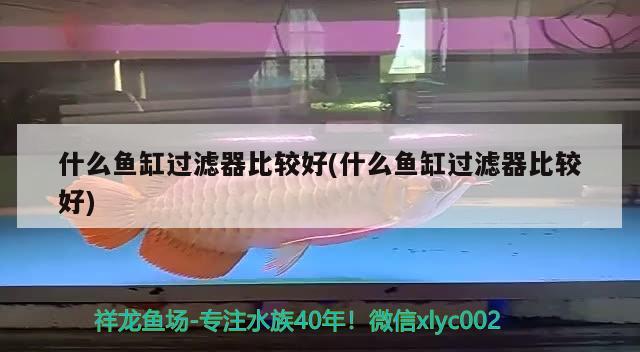 鱼缸里放了沉木水总是黄怎么办，沉木水草缸里放了沉木水总是黄怎么办