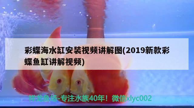 彩蝶海水缸安装视频讲解图(2019新款彩蝶鱼缸讲解视频)