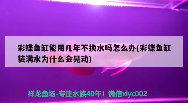 兰州城关区雁滩花鱼市场于长江水族店 全国水族馆企业名录 第3张