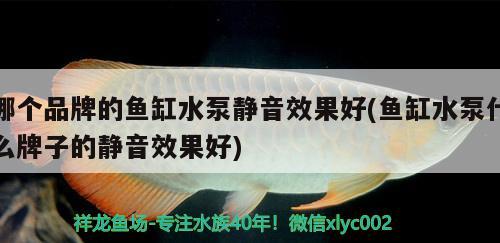 哪个品牌的鱼缸水泵静音效果好(鱼缸水泵什么牌子的静音效果好) 鱼缸水泵