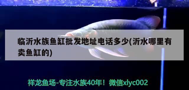 临沂水族鱼缸批发地址电话多少(沂水哪里有卖鱼缸的) 水族品牌