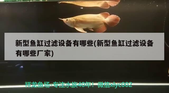 新型鱼缸过滤设备有哪些(新型鱼缸过滤设备有哪些厂家) 过滤设备