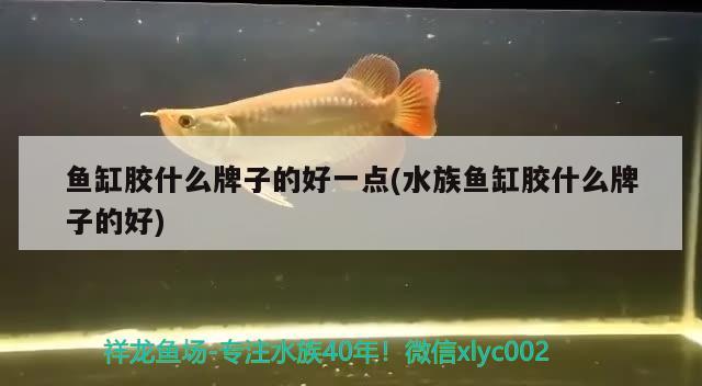 郑州哪里批发鱼缸最便宜又好：河南鱼缸厂家哪家物美价廉