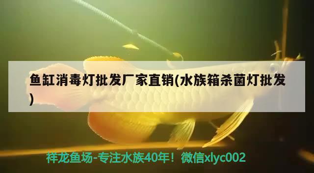 鱼缸充气泵不充气怎么修视频教程的简单介绍 马来西亚燕窝 第2张