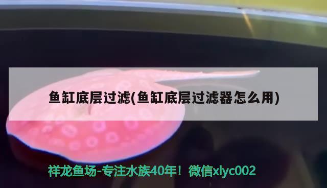 亚克力做鱼缸盖会变形吗 亚克力做鱼缸盖会变形吗为什么 鸭嘴鲨鱼 第2张