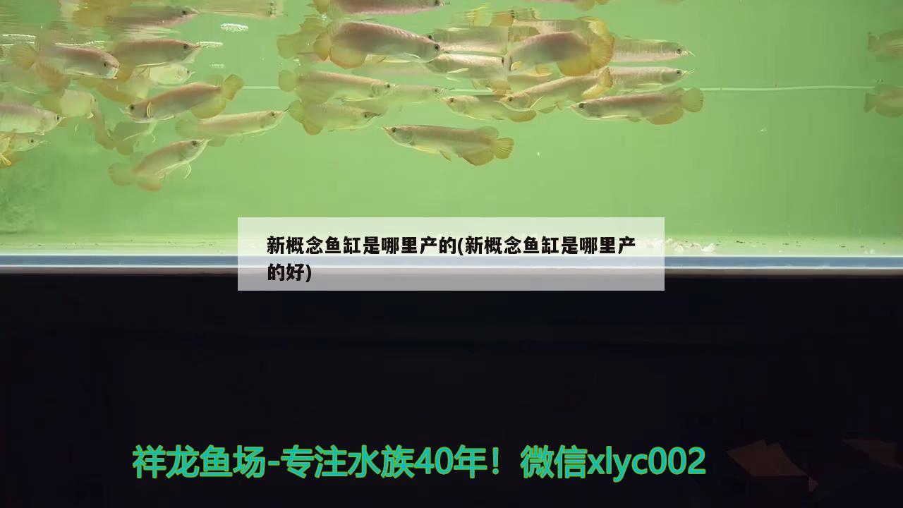 新概念鱼缸是哪里产的(新概念鱼缸是哪里产的好)