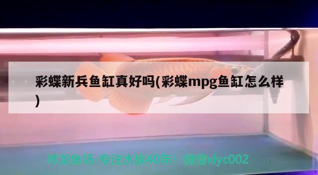 彩蝶新兵鱼缸真好吗(彩蝶mpg鱼缸怎么样)