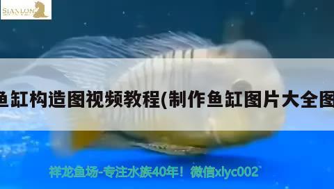 鱼缸构造图视频教程(制作鱼缸图片大全图)