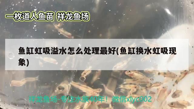 鱼饲料都有哪些品牌名称（鱼饲料都有哪些品牌名称和图片） 观赏鱼饲料 第2张