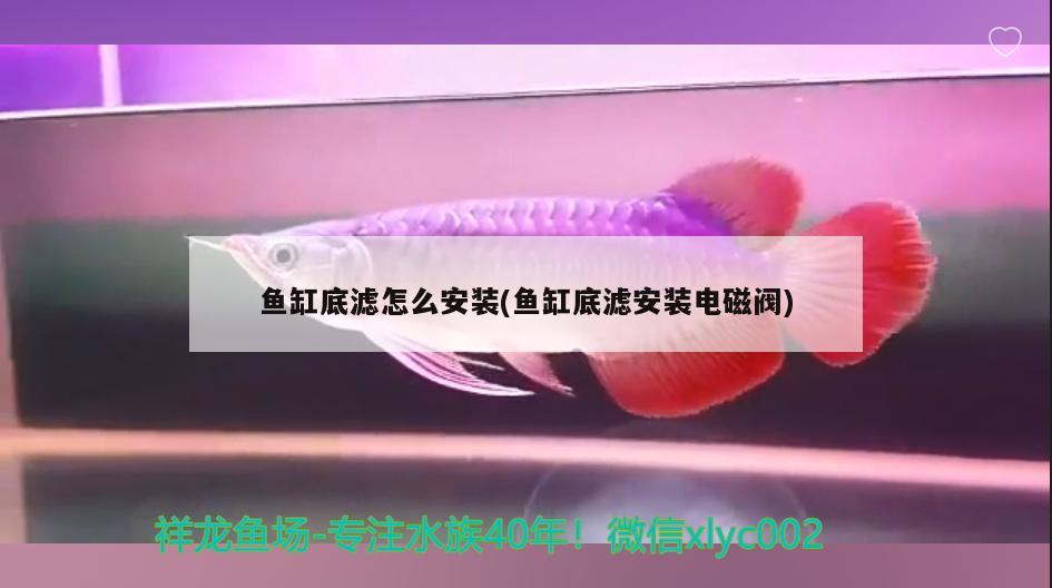 鱼缸底滤怎么安装(鱼缸底滤安装电磁阀)