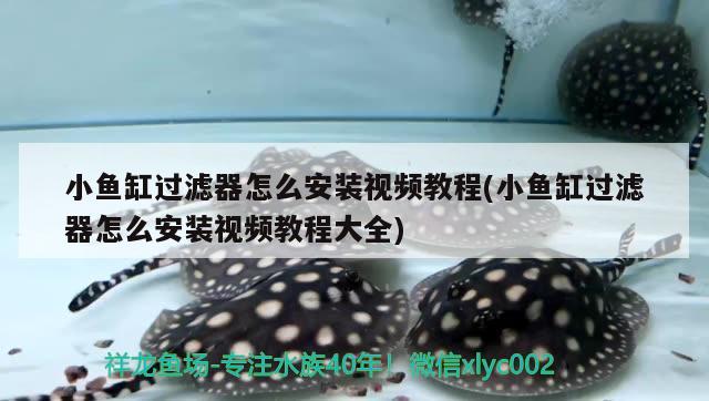 什么牌子鱼缸水泵静音质量好(静音鱼缸水泵哪个品牌好) 鱼缸水泵