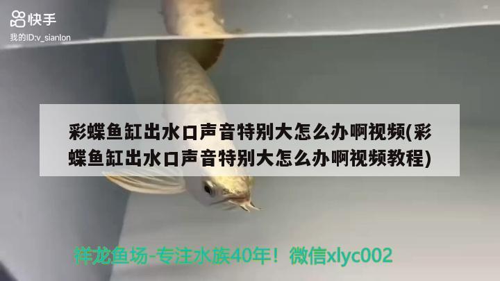 彩蝶鱼缸出水口声音特别大怎么办啊视频(彩蝶鱼缸出水口声音特别大怎么办啊视频教程)