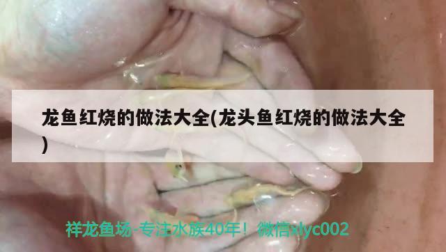 彩蝶鱼缸火鸟系列价格图片及价格(彩蝶鱼缸哪里生产的) 龙鱼专用灯