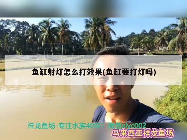 鱼缸射灯怎么打效果(鱼缸要打灯吗)