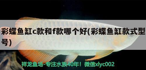 彩蝶鱼缸c款和f款哪个好(彩蝶鱼缸款式型号)