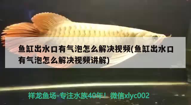 鱼缸出水口有气泡怎么解决视频(鱼缸出水口有气泡怎么解决视频讲解) 南美异型鱼